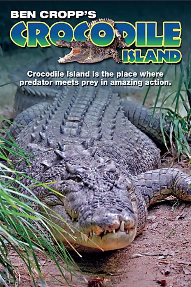 Crocodile Island